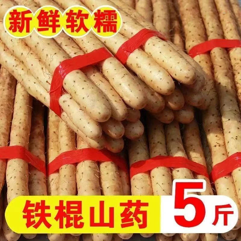 【5斤净重】 铁棍山药正宗垆土新鲜粉糯香营养小白嘴淮山药30-50cm