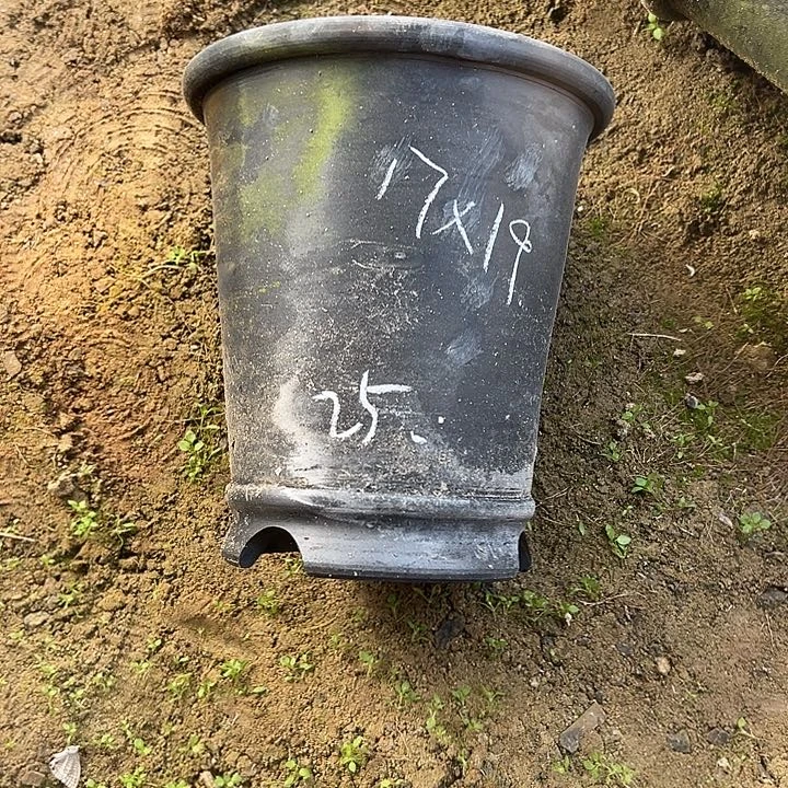 青苔直筒口径17高度19