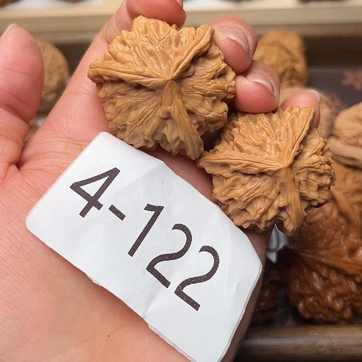核桃41盘山三棱4122