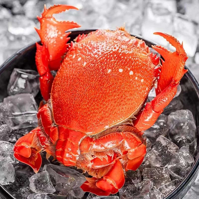 泰国精选海捕大规格进口老虎蟹