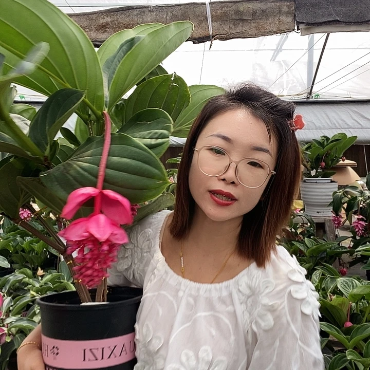 回***年宝莲灯一物一拍就