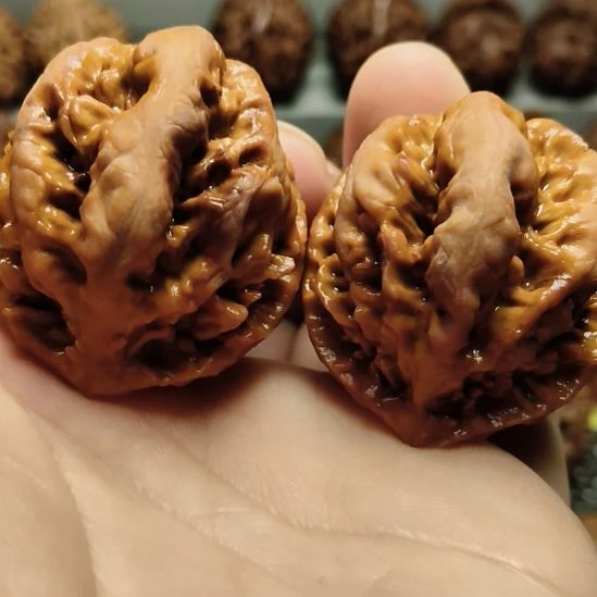 吊坠文玩核桃大楸核桃1号