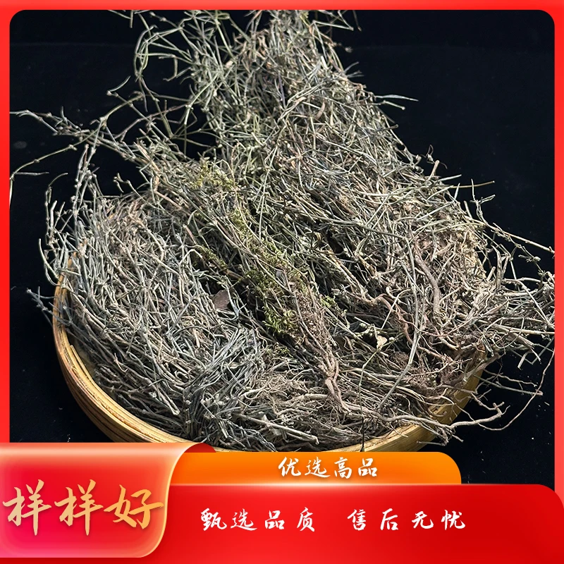 5.【样样好】乌骨蛇舌草