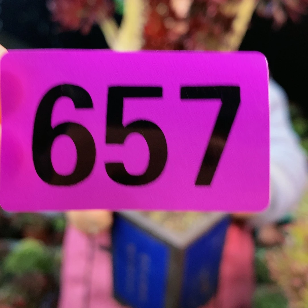 秀*ssssssssssssssssssssssss657