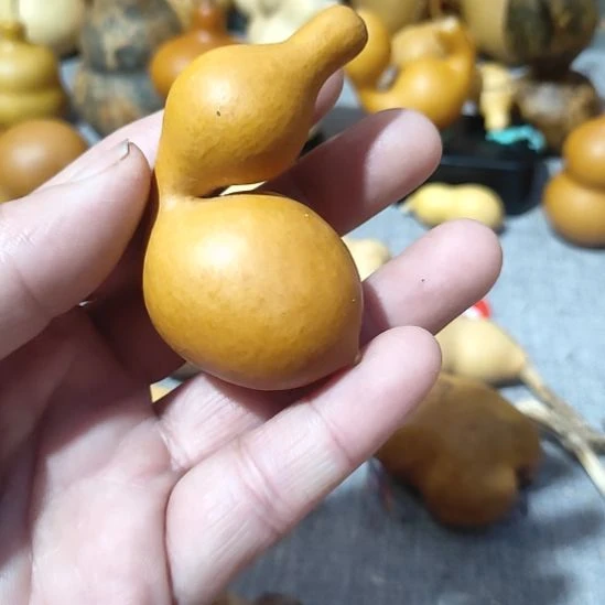 回来哈哈哈哈哈哈哈哈哈