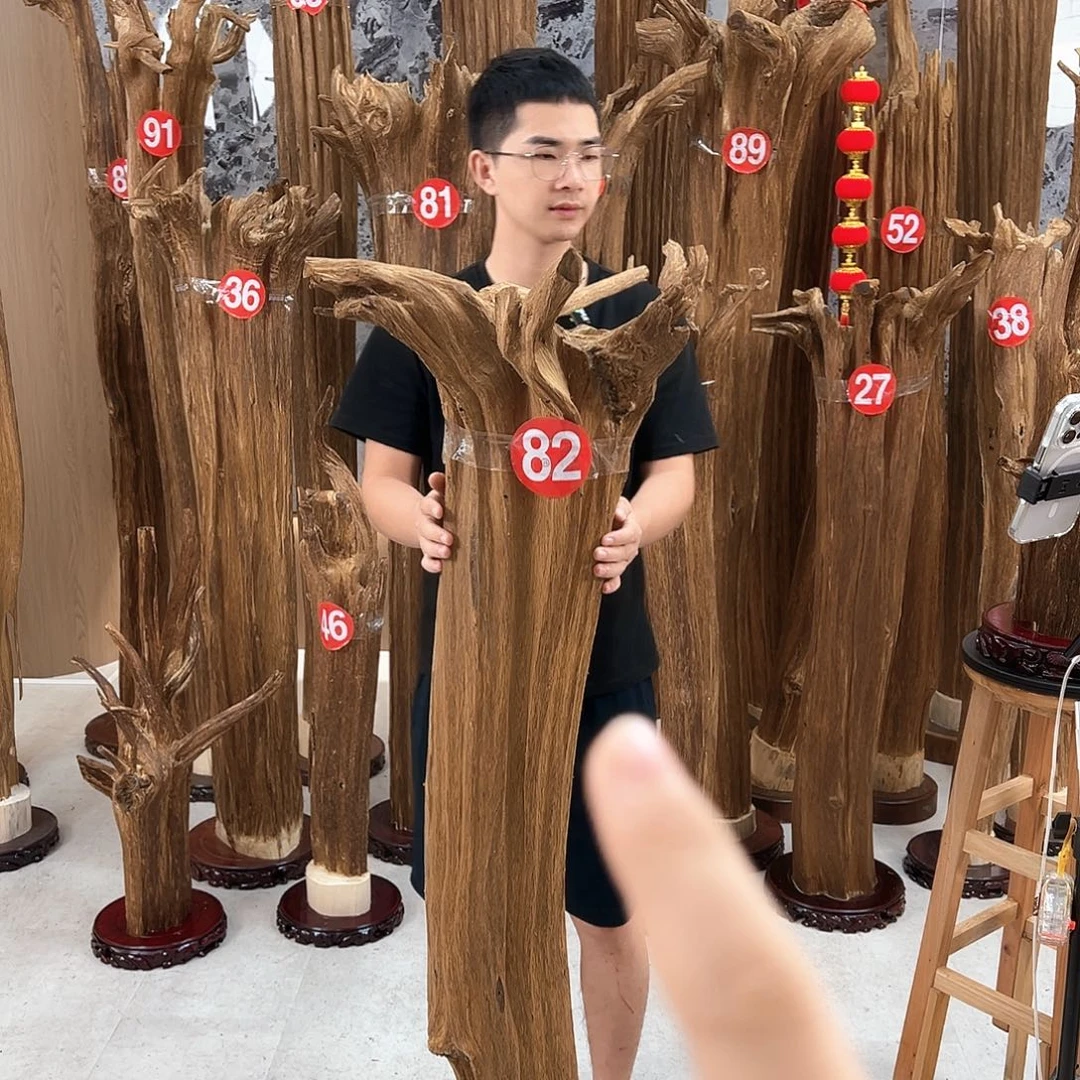 力***哥沉香沉香碎屑天然沉香
