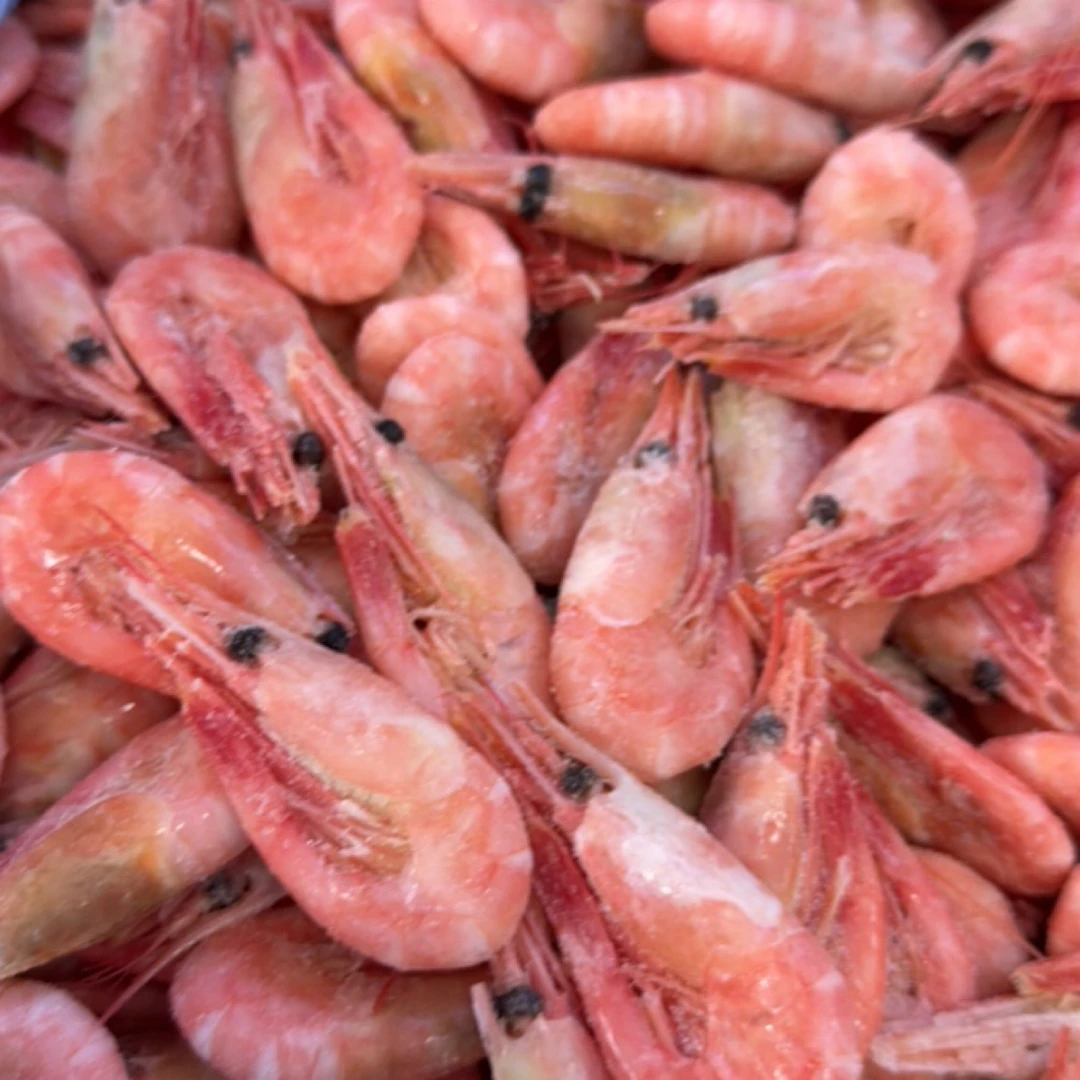 北极熊冰虾70-90一箱净重2斤