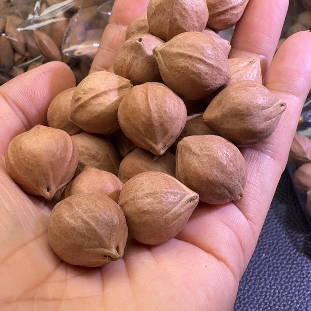 鱼***岛手串/手链橄榄核1