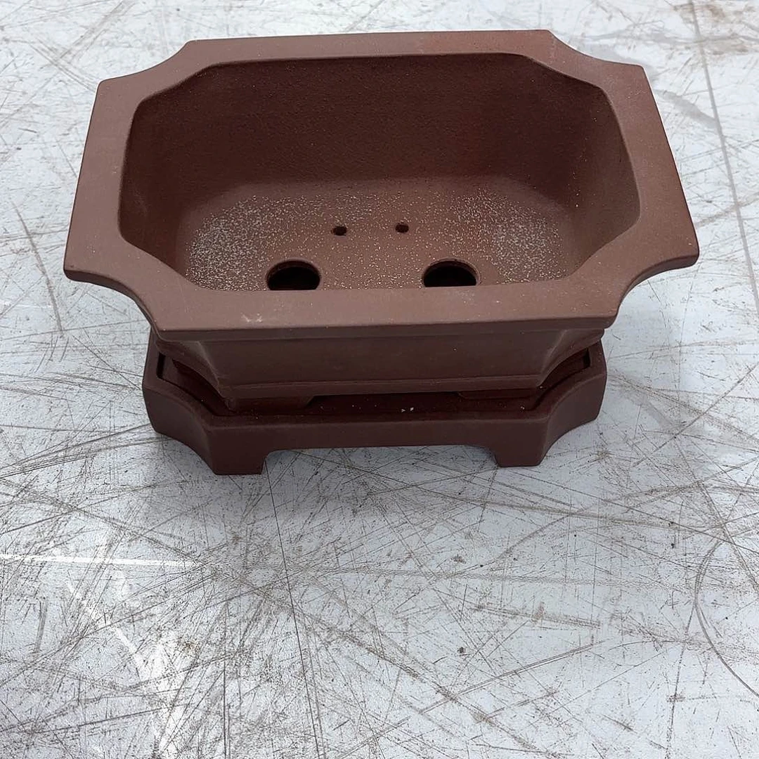 紫砂花盆紫砂的花开了吗我