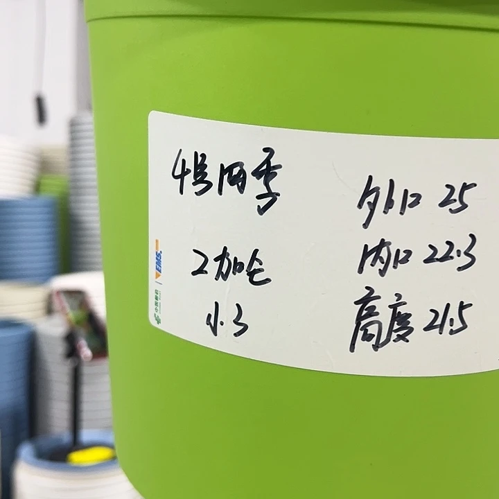 特价4号四季口25高21果绿色8个无托