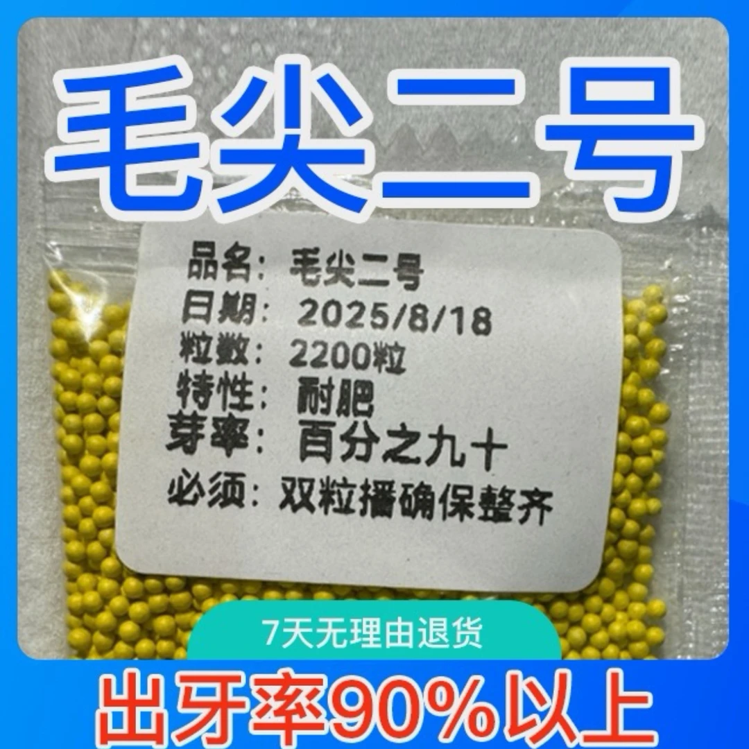 毛尖二号颗粒适合海拔2400以下云贵川陕湖