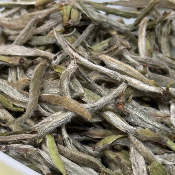 2023白毫银针30克分享炭焙非常规分享