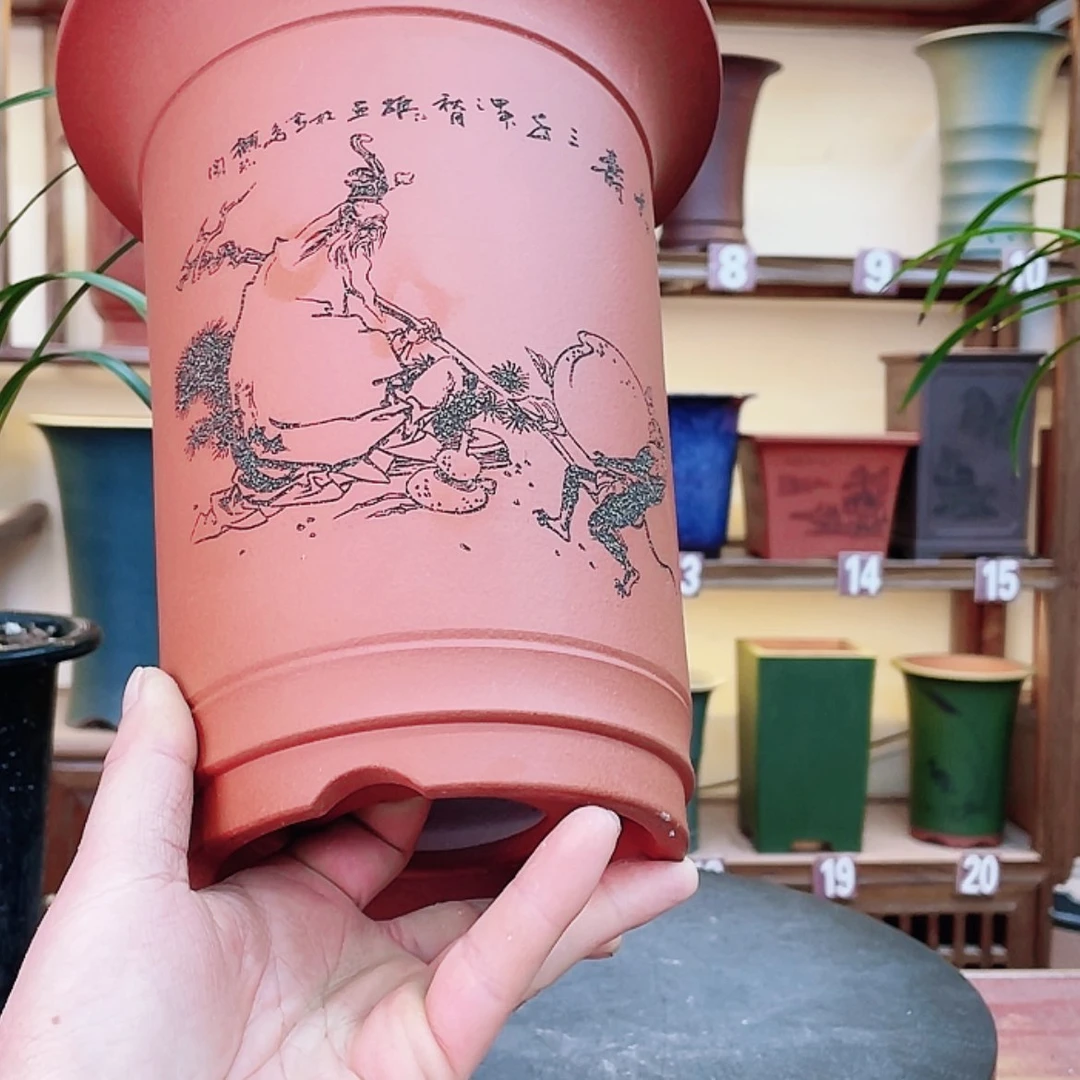 【闪购商品】紫砂花盆云****6兰花452555558877566885