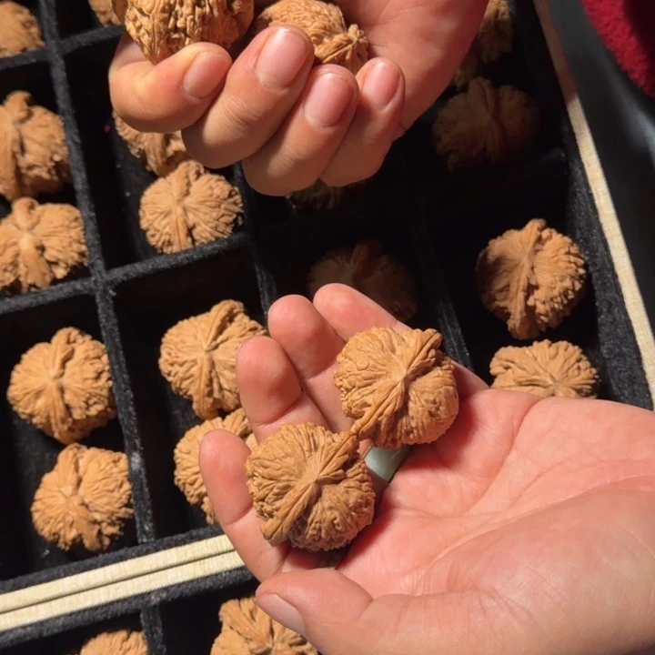 文玩核桃把件529号41mm全品白狮子