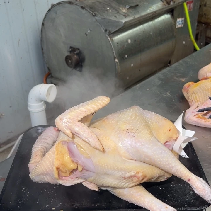 包装一号土鸡中国大陆丽