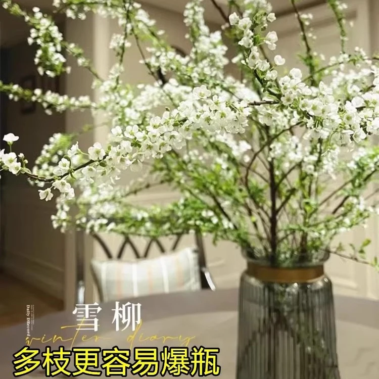 放青松高质办公重瓣雪柳干枝鲜枝水养插花水培植物鲜花卉室内盆栽