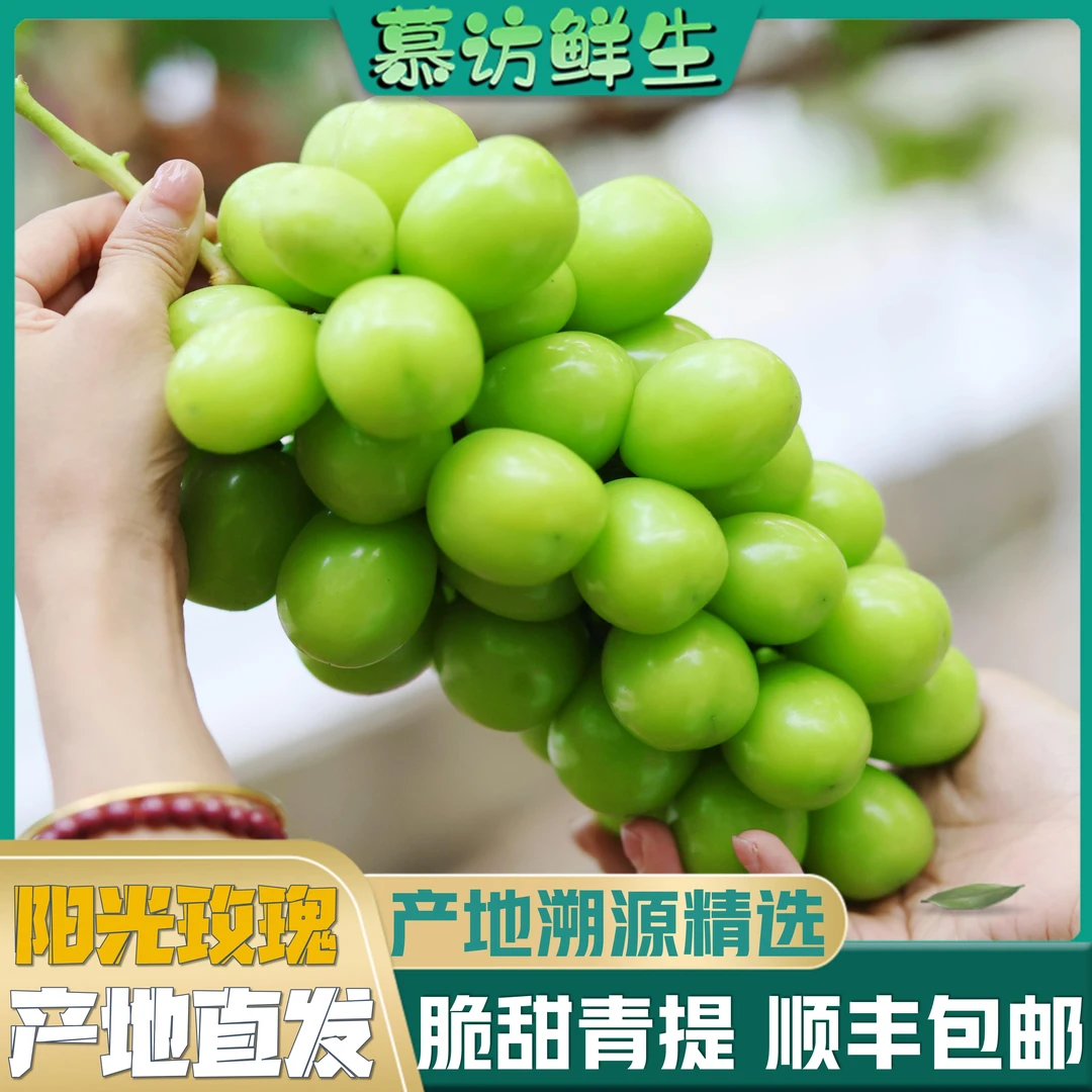 【产地直发】阳光玫瑰晴王葡萄新鲜当季水果西昌产地直发