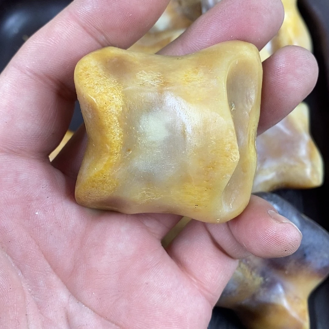 驼骨手串/手链配饰183
