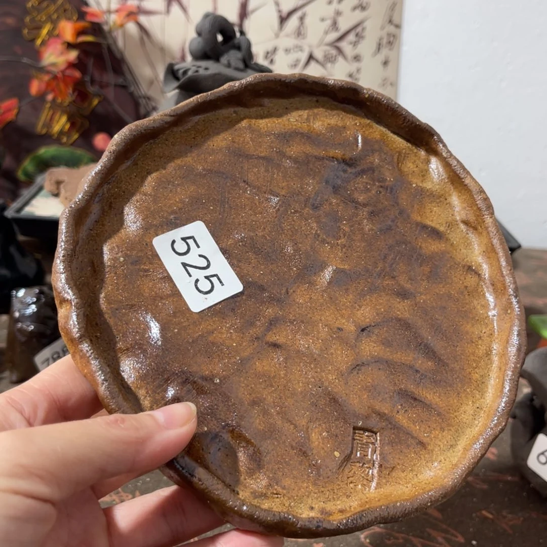 木村信弘柴烧保平