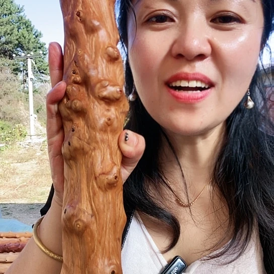 完全开放满***君精品课程建设项目