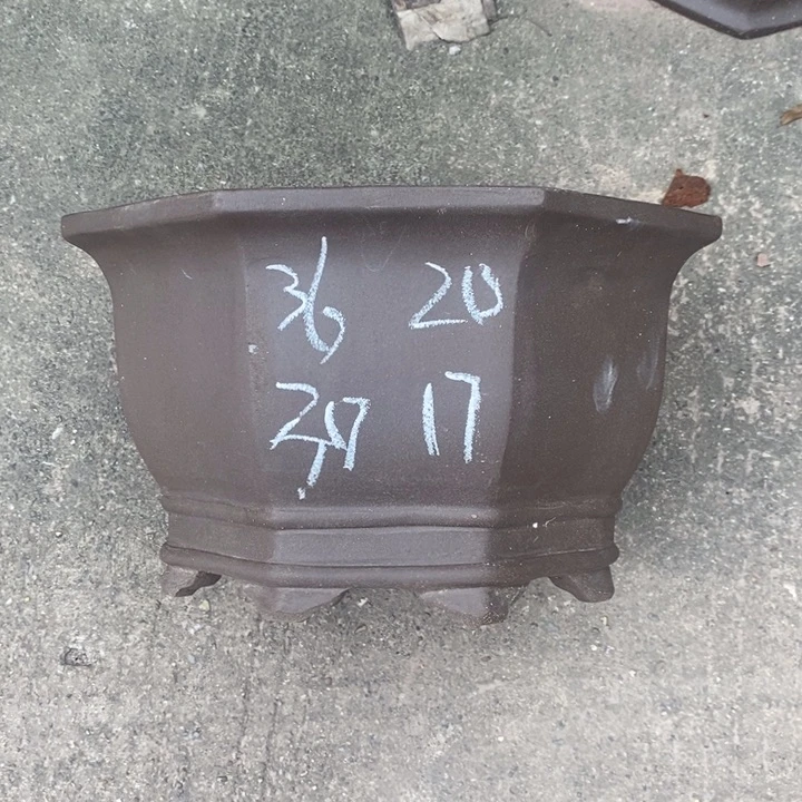 紫砂花盆有种说错人