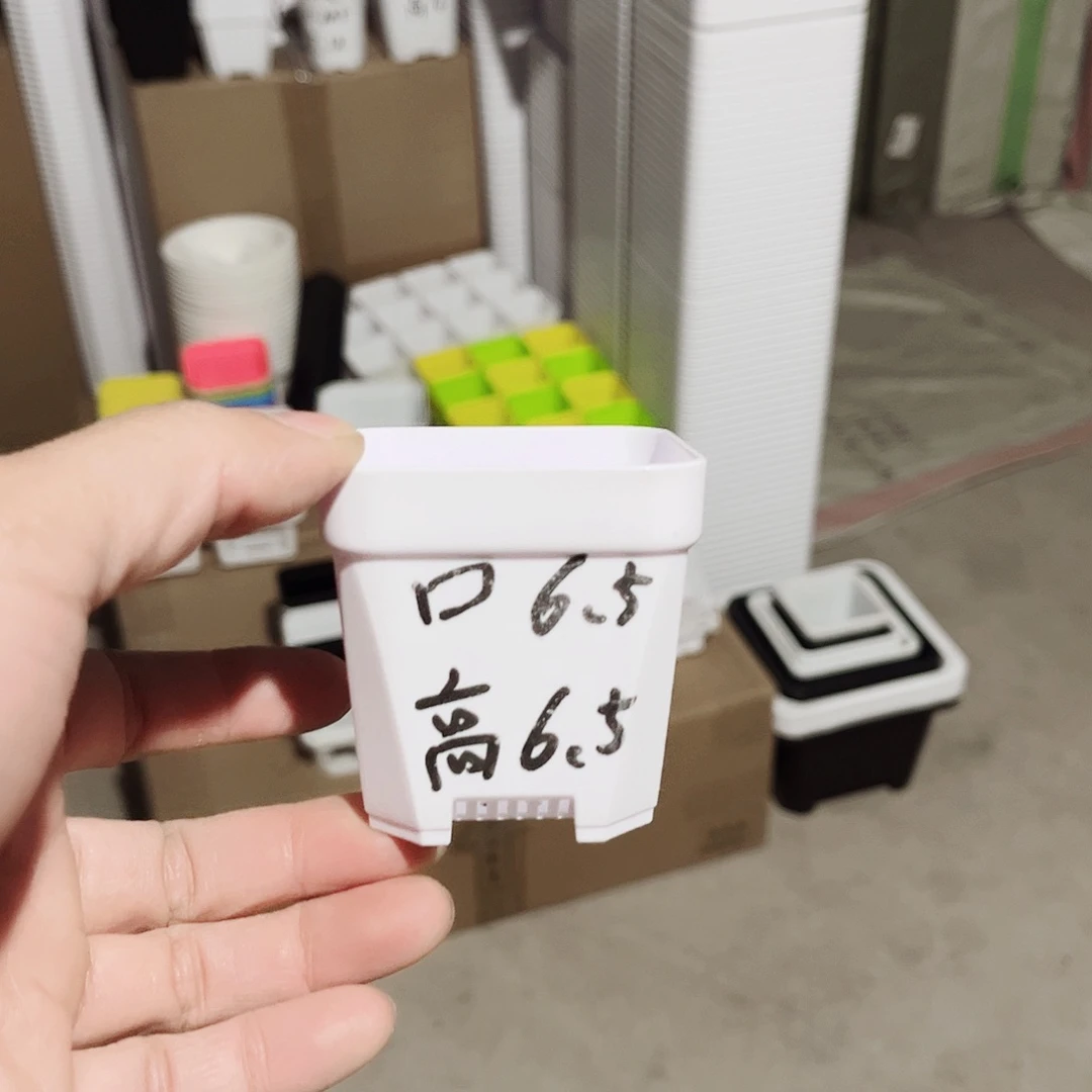 塑料加厚矮胖6.5白方盆50个无托