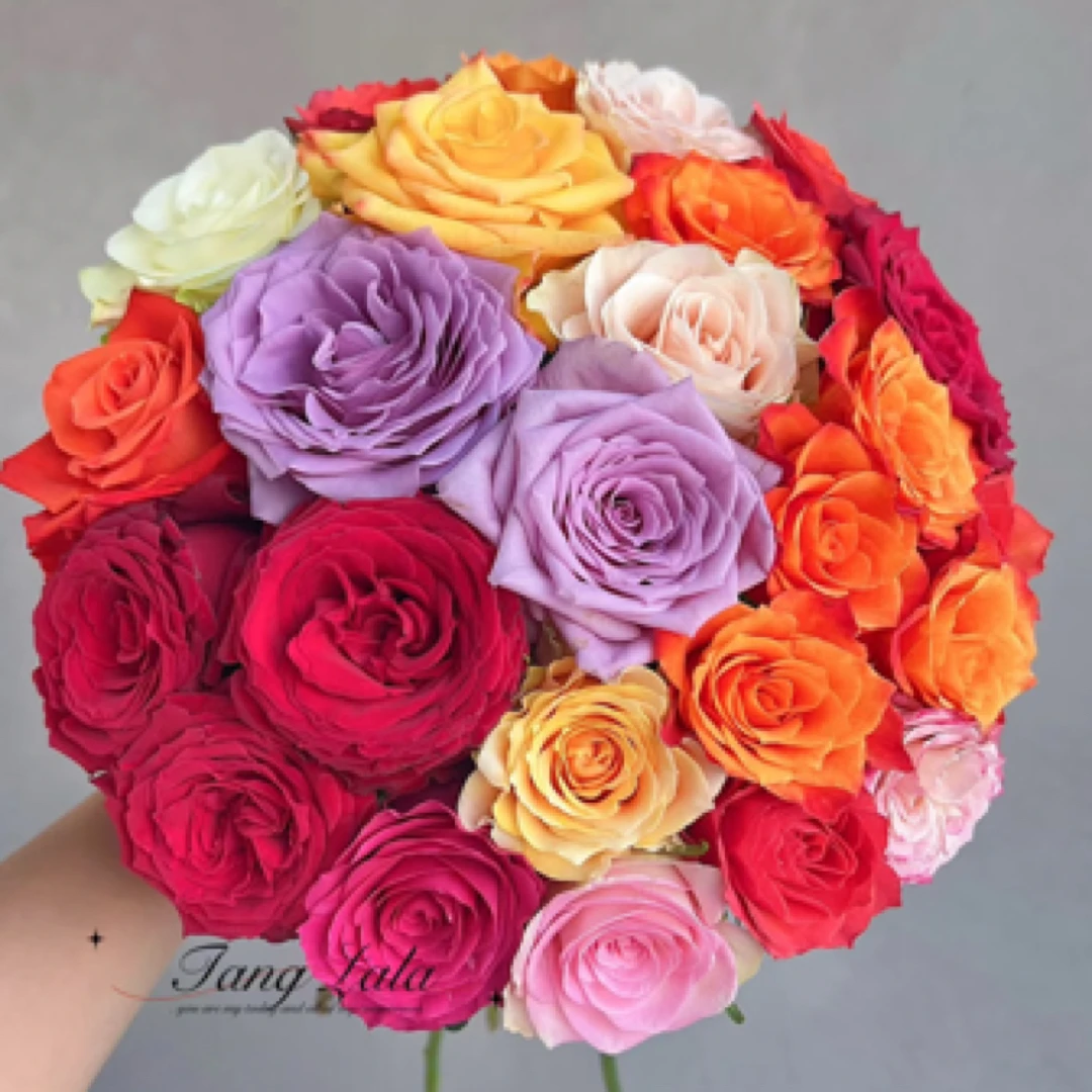 【百利信】混色单头玫瑰10/20枝-1单空运包邮（20%不售后）