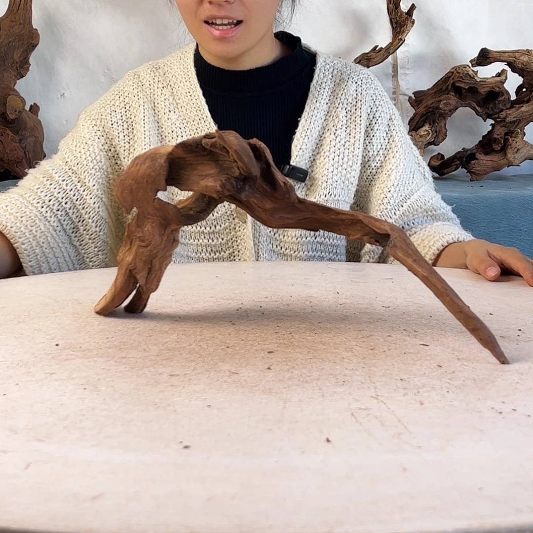 周末福利沉木造景