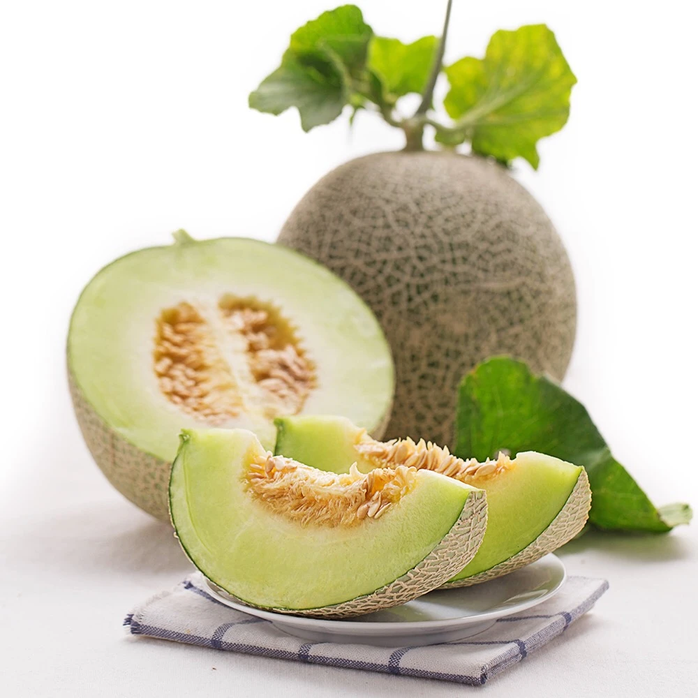 【整果】静岗冈藤蜜瓜/网纹瓜1只 约3斤