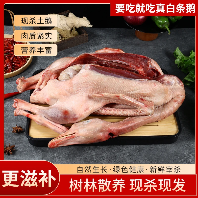 （全疆包邮）农家散养鹅新鲜现杀急冻锁鲜可炖汤滋补