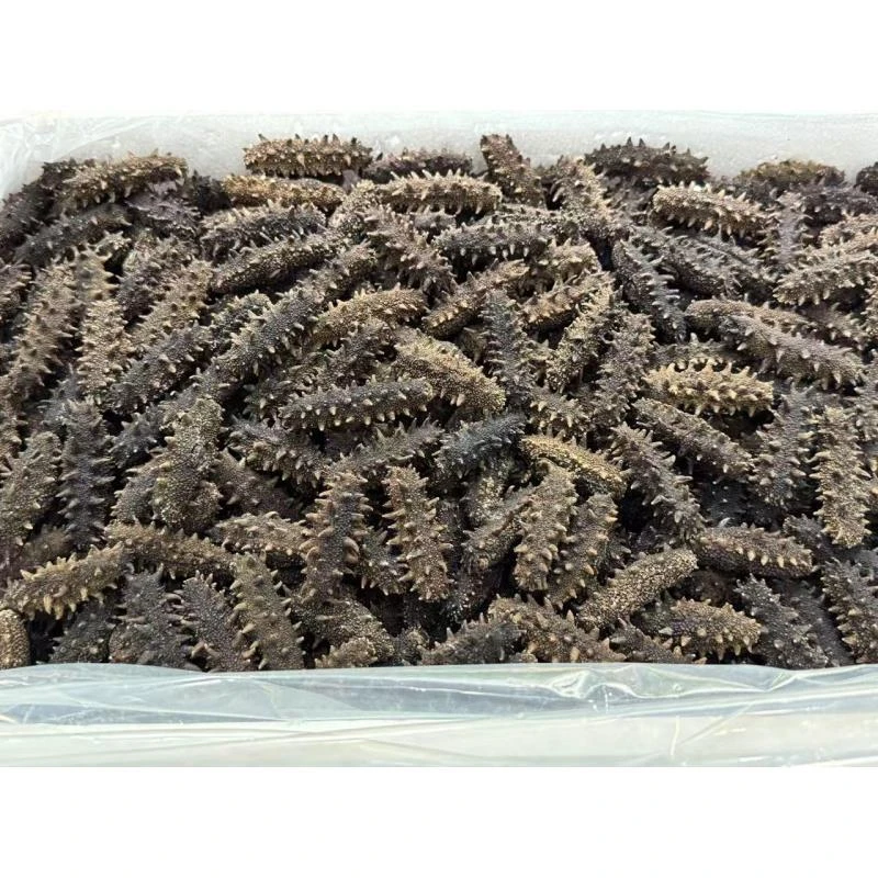 小太阳景云 六排刺 特产干货 250g