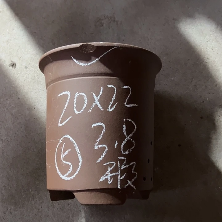 紫砂花盆宜兴紫砂花盆厂家直销特价大福利