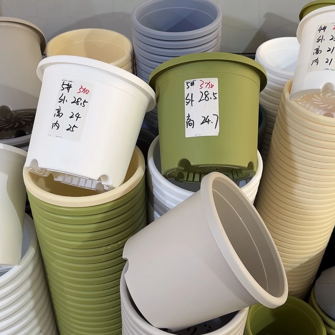 微瑕5号6个无托，灰白