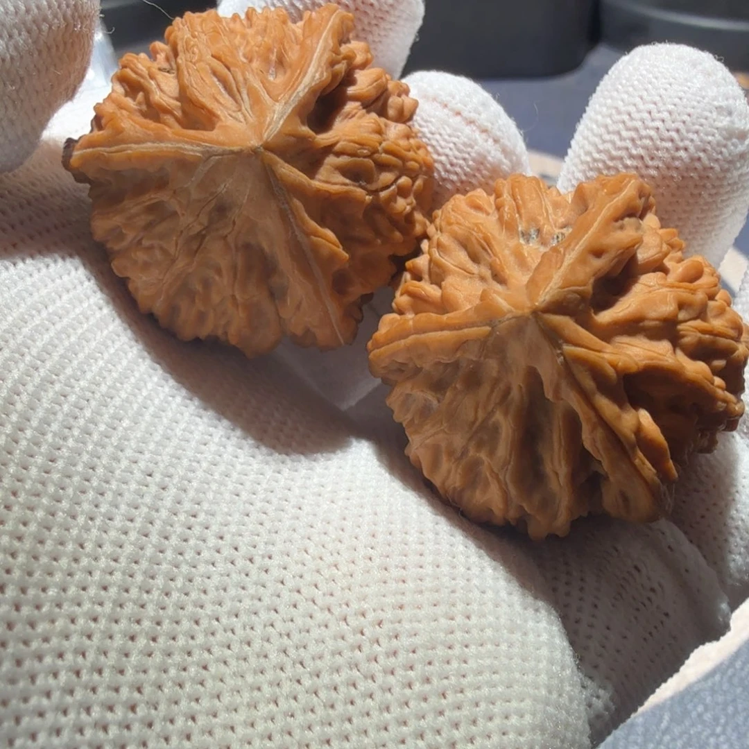 文玩核桃吊坠御龙正奔