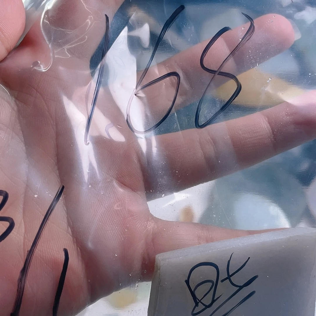 颈饰未镶嵌翡翠轩***友