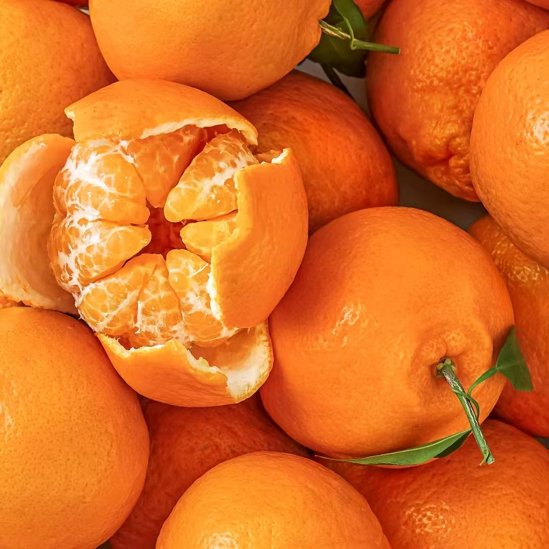 四川耙耙柑新鲜采摘手剥橘子自然成熟香甜爆汁