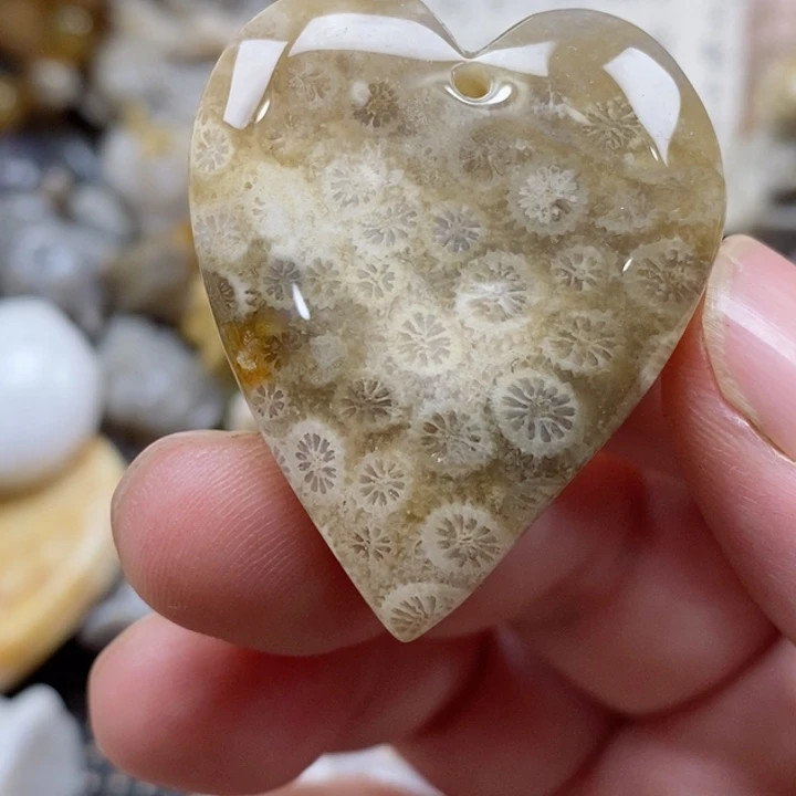 颈饰未镶嵌硅化珊瑚（珊瑚玉）