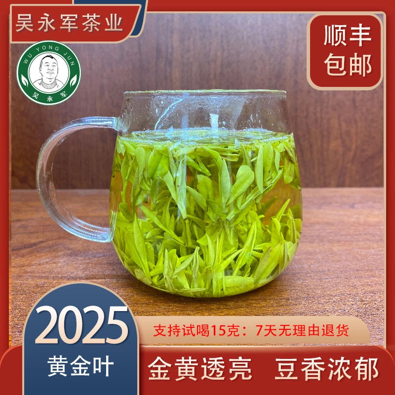 -2025年春茶新茶黄金级安吉黄金叶