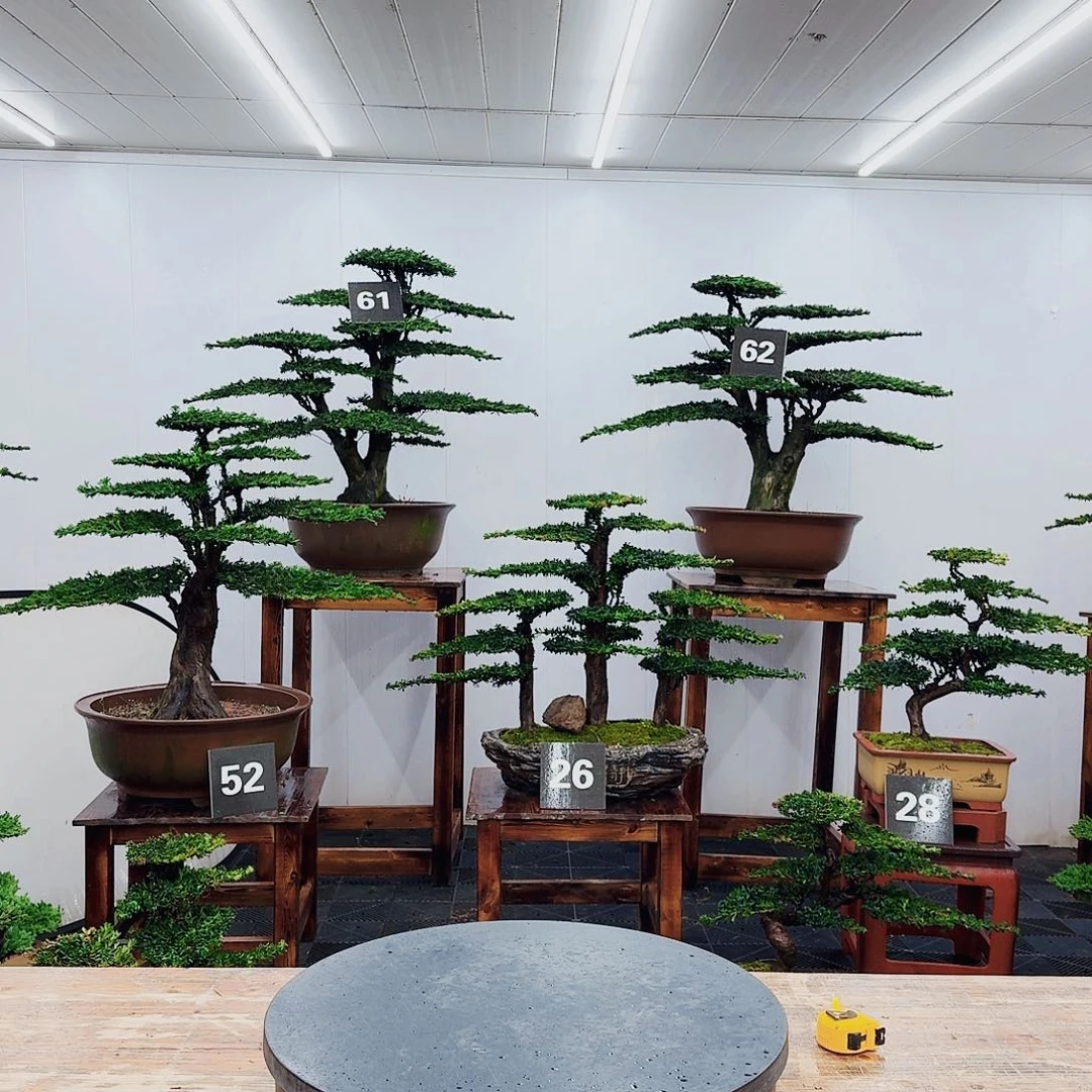 无花朵祥****服000000000000000