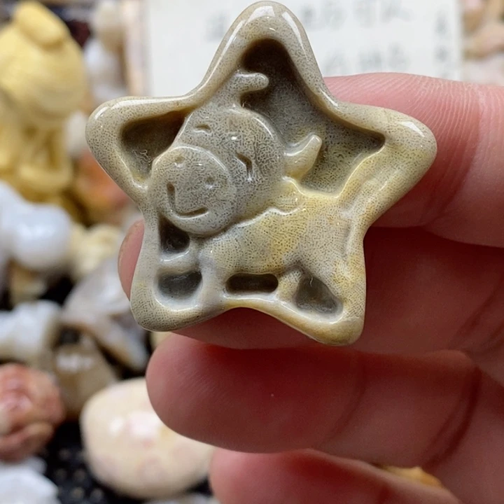 颈饰未镶嵌硅化珊瑚（珊瑚玉）小