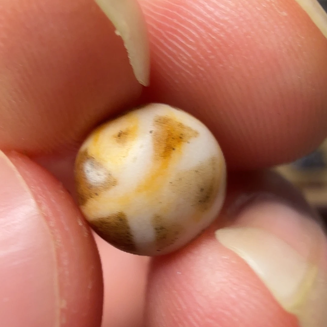 古珠直发专用链接