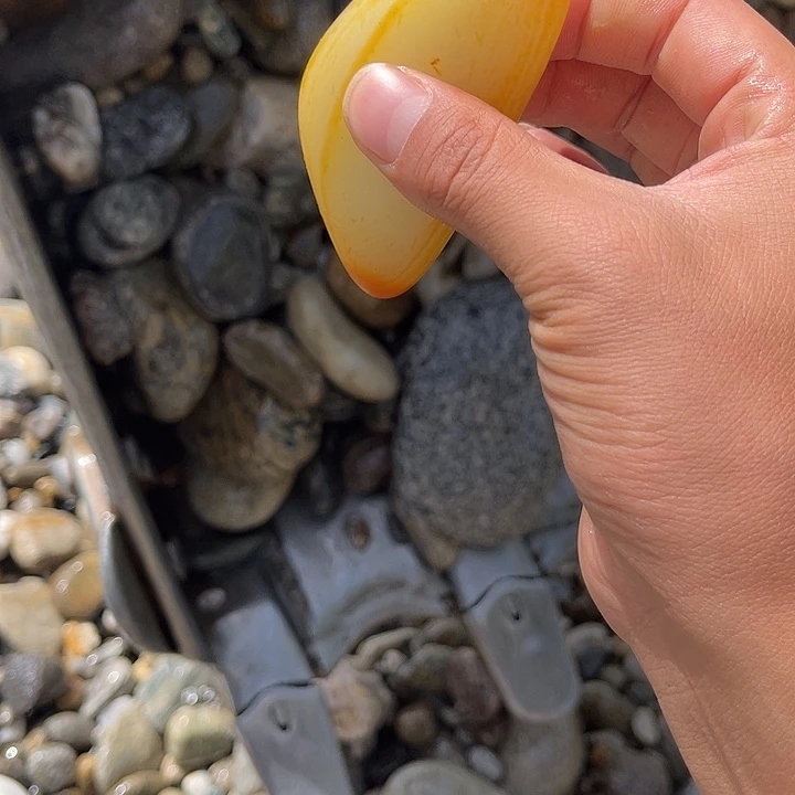 未镶嵌和田玉（糖玉）珠宝奇石