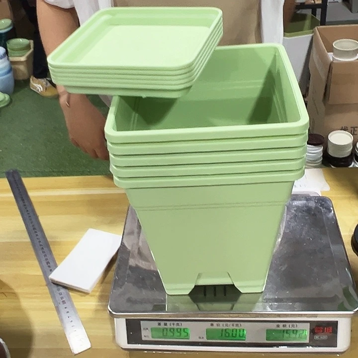 正品方盆200口20高22果绿带托5只