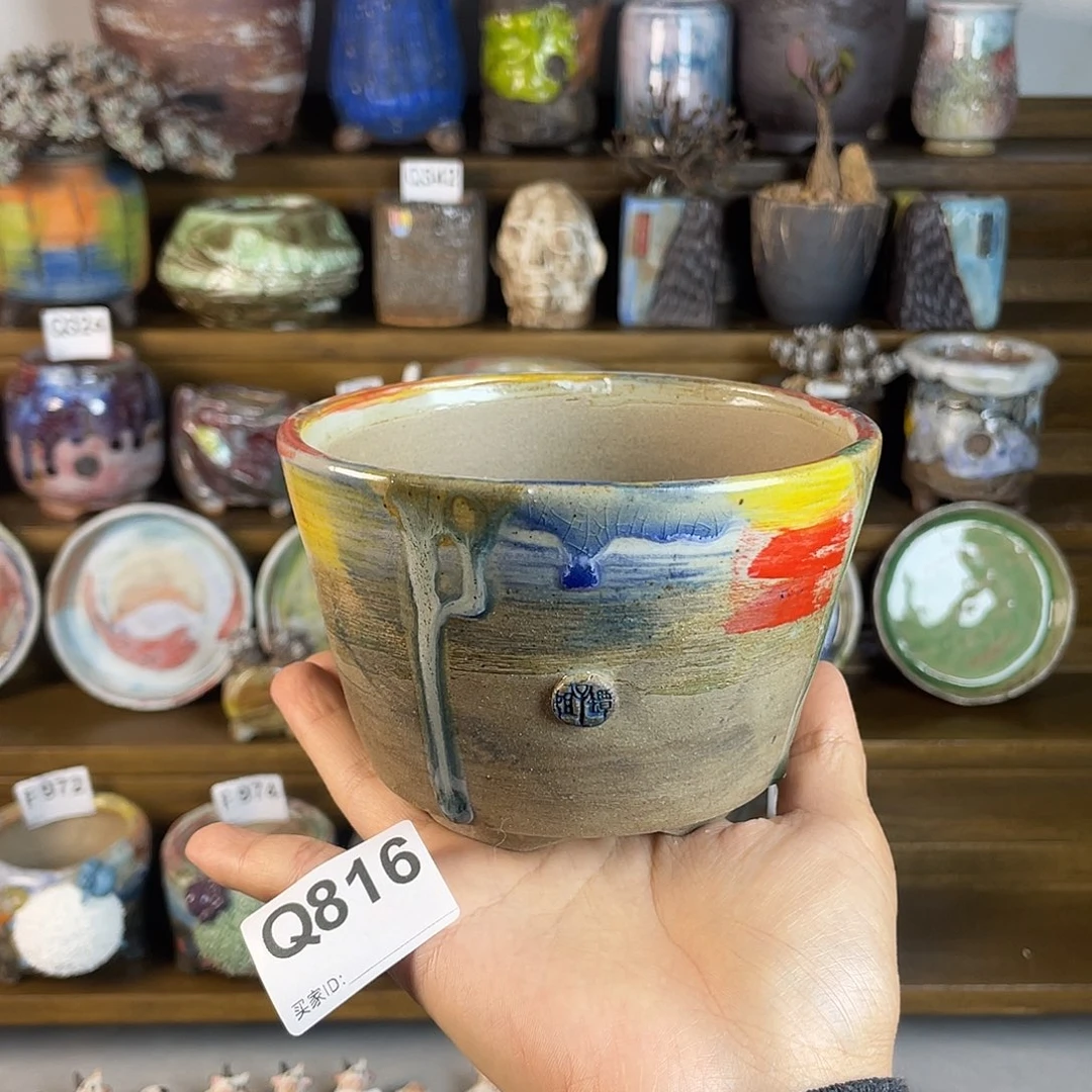 网***民哈哈哈哈哈哈哈哈哈哈哈哈哈