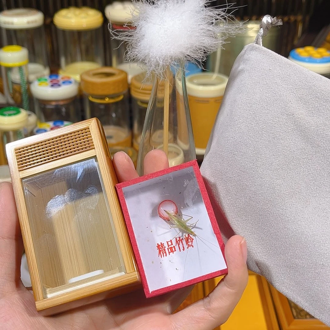 蟋蟀老竹竹蛉盒+竹蛉+过虫器+布套