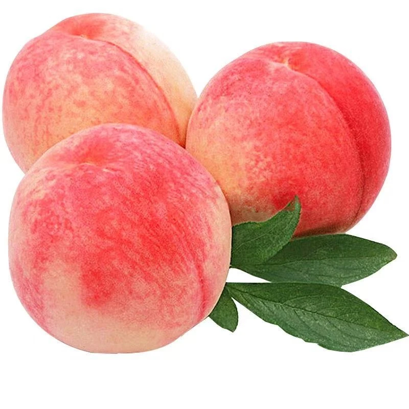 正宗砀山水蜜桃现摘现发新鲜应季脆软两吃香甜多汁