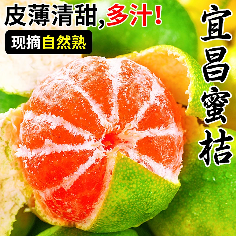 【领券10斤底价】宜昌青皮蜜桔，高山果园直发，酸甜爆汁新鲜水果