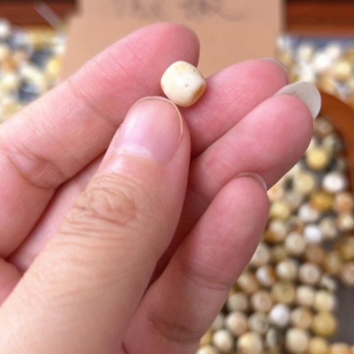 蜜蜡未镶嵌裸石7.5mm一个