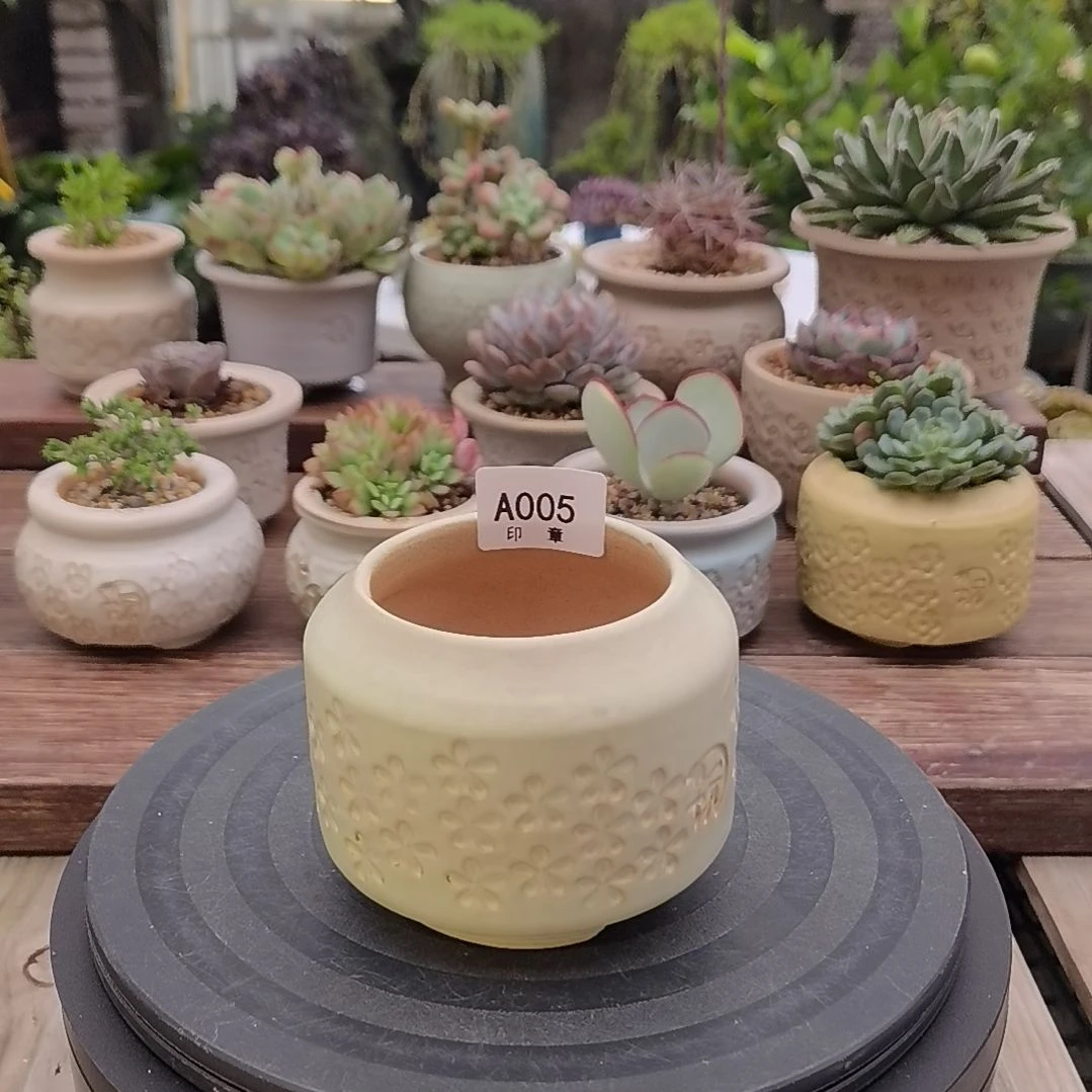 印章多肉花盆A005