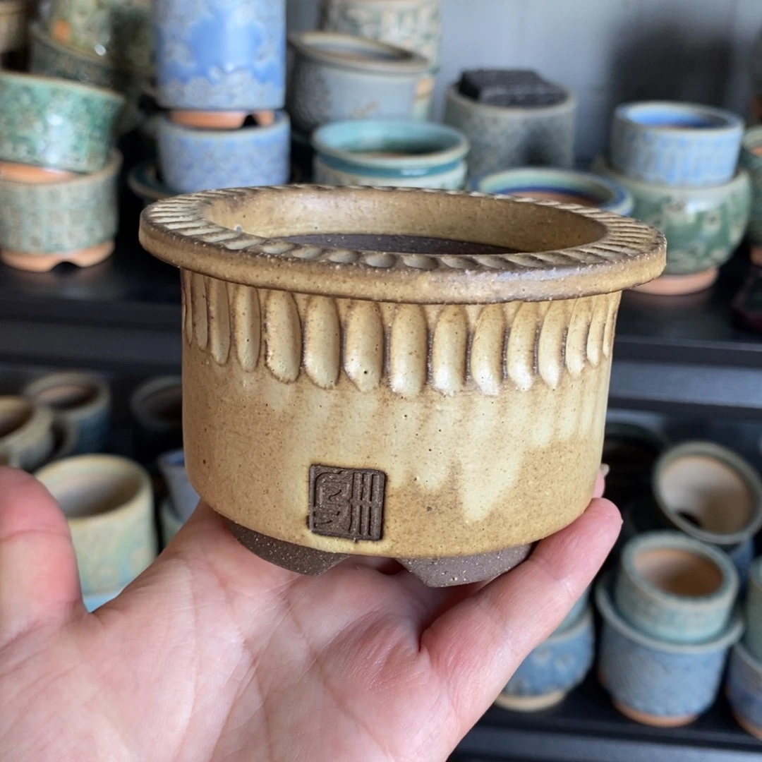 叶**?黑泥展盆8口一个啦啦